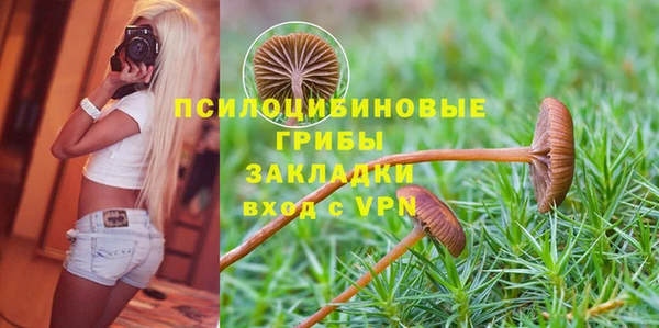 мет Абаза